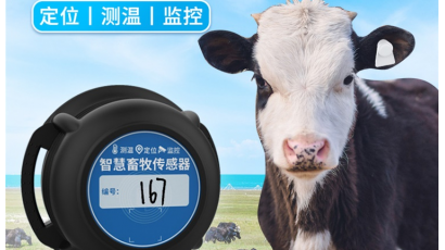 智慧养殖RFID测温定位电子耳标